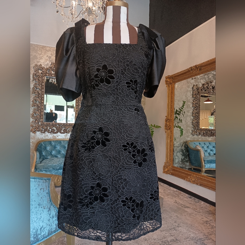 Elliott Lace mini dress with puffy short sleeve